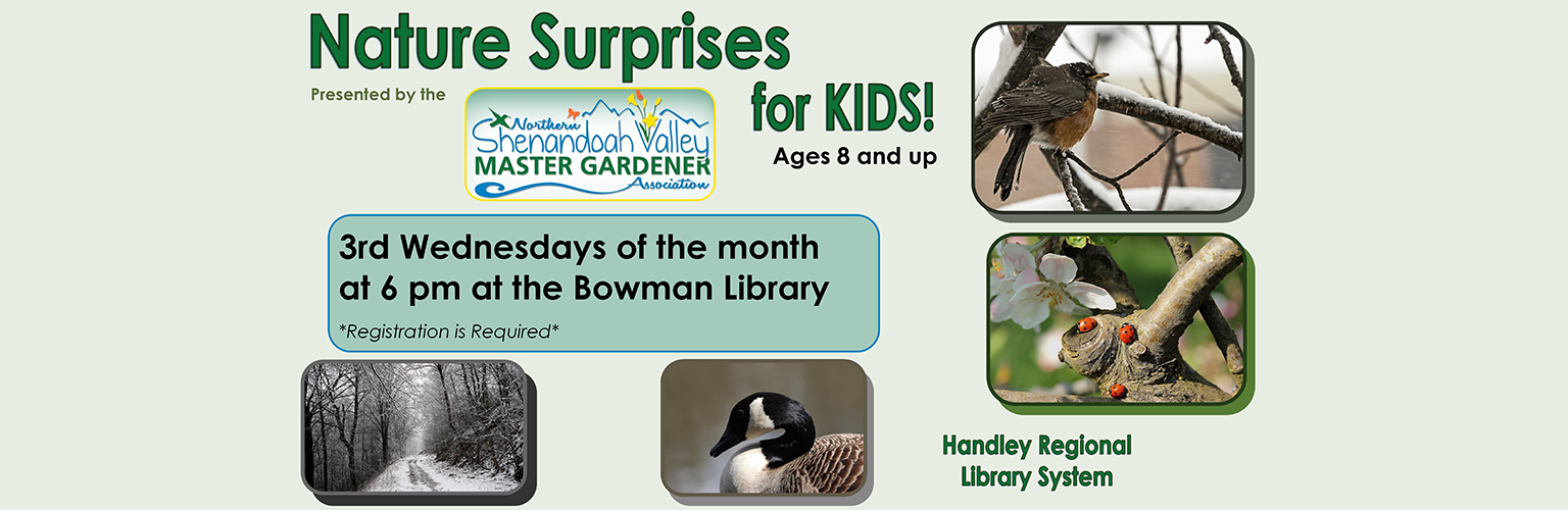 Nature's Surprises banner for Special Events page