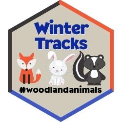Winter Tracks Badge