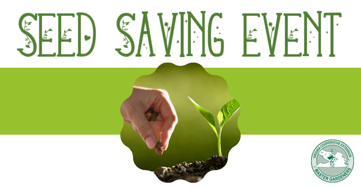 seed saving event