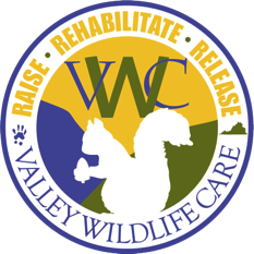 Logo for Valley Wildlife Care