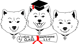 head of class logo