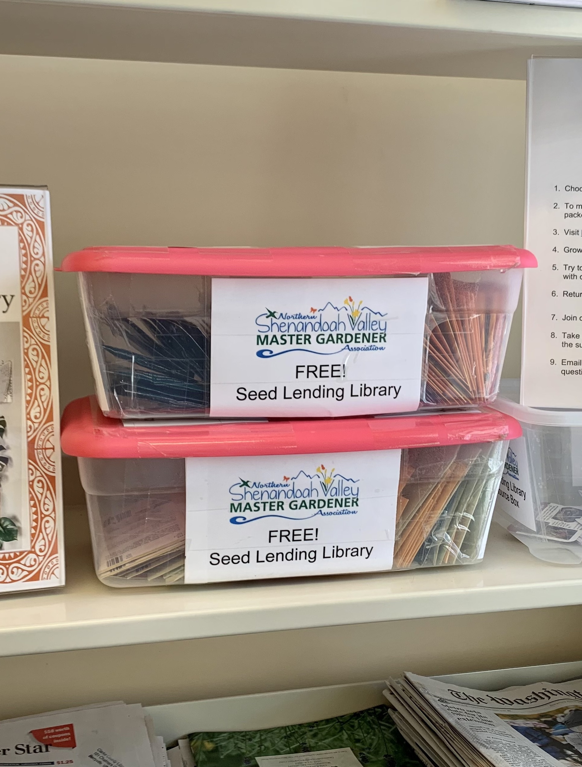 Seed packets in a plastic bin on a shelf 