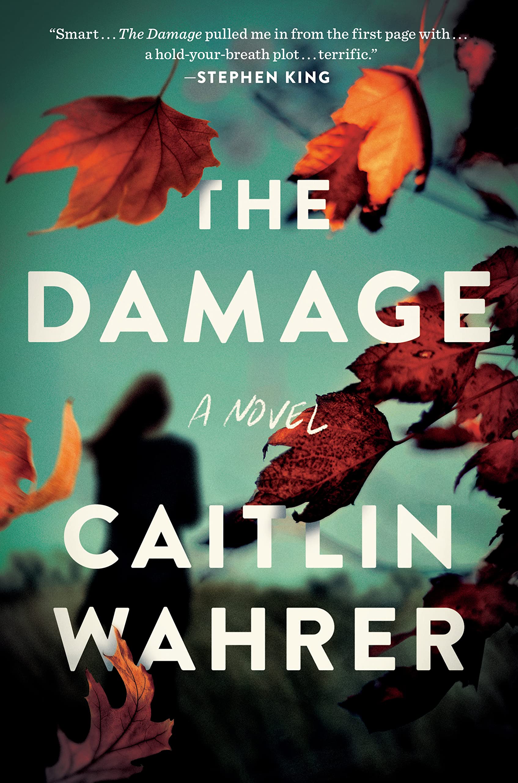 cover for Damage: a Novel