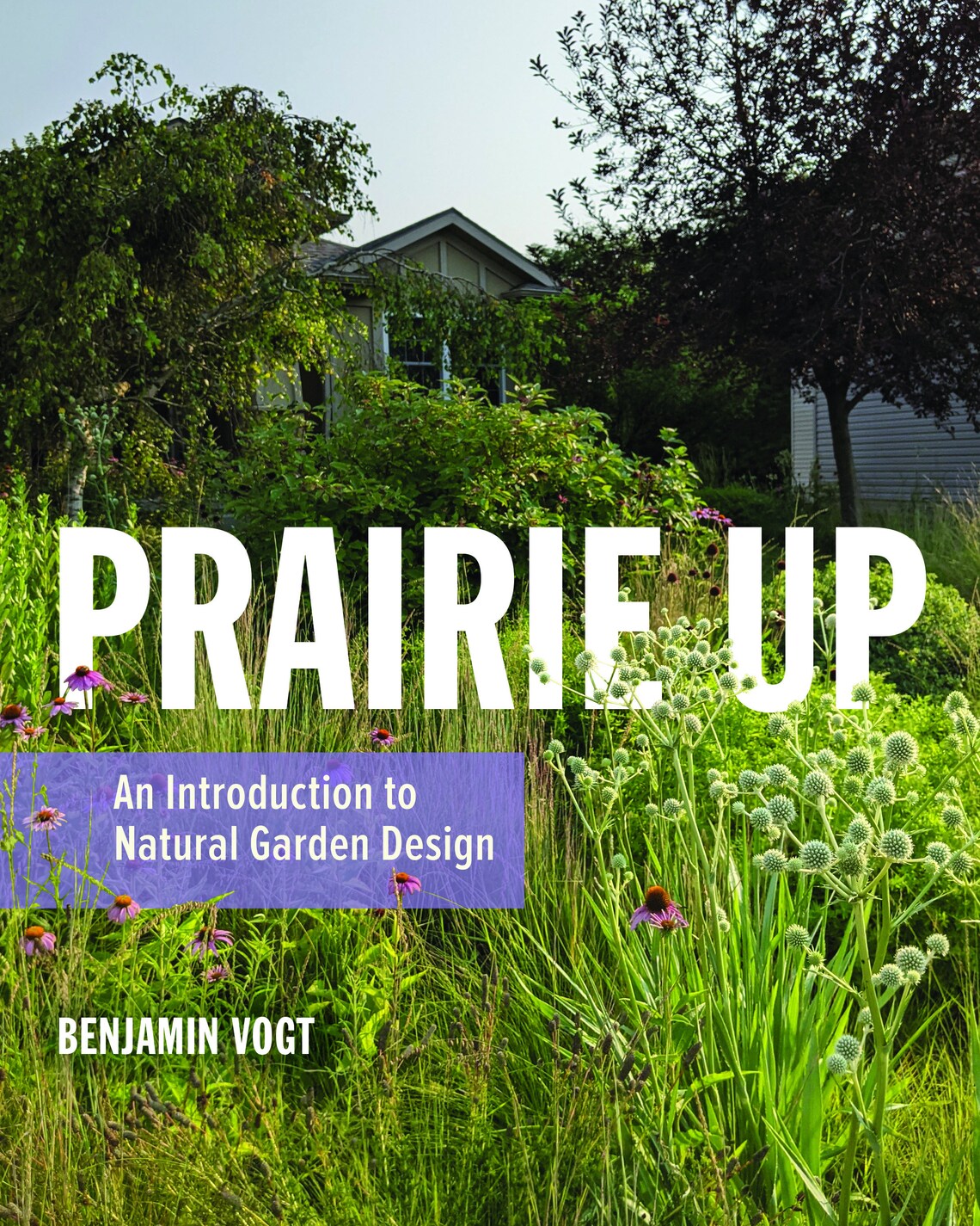cover for Prairie Up : An Introduction to Natural Garden Design