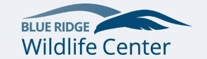 Blue Ridge Wildlife Center Logo