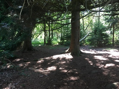 Shenandoah National Park