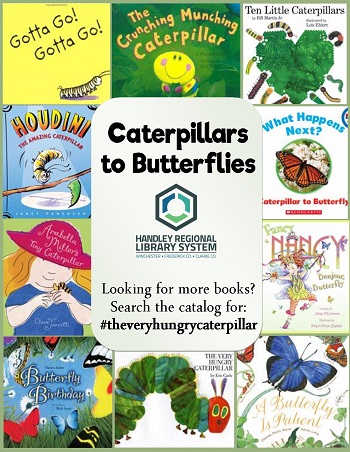 Caterpillars to Butterflies