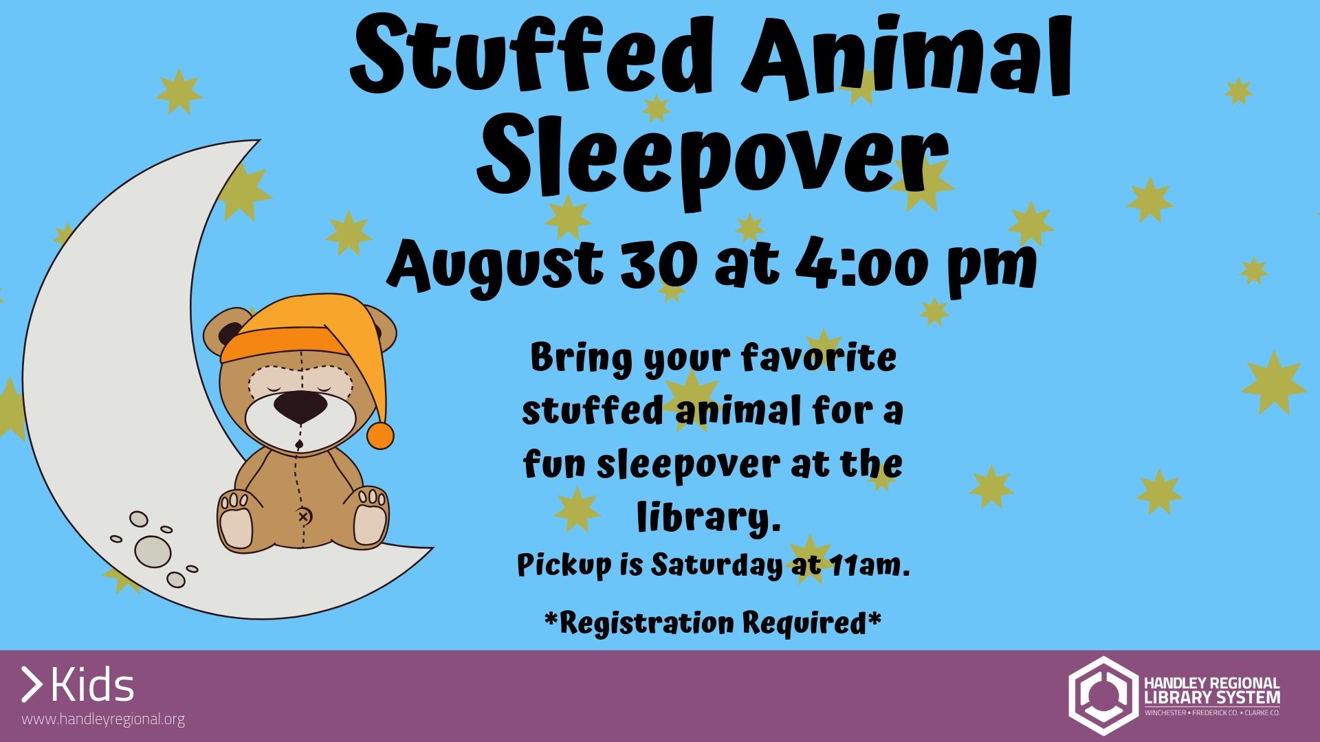 Stuffed Animal Sleepover Slide