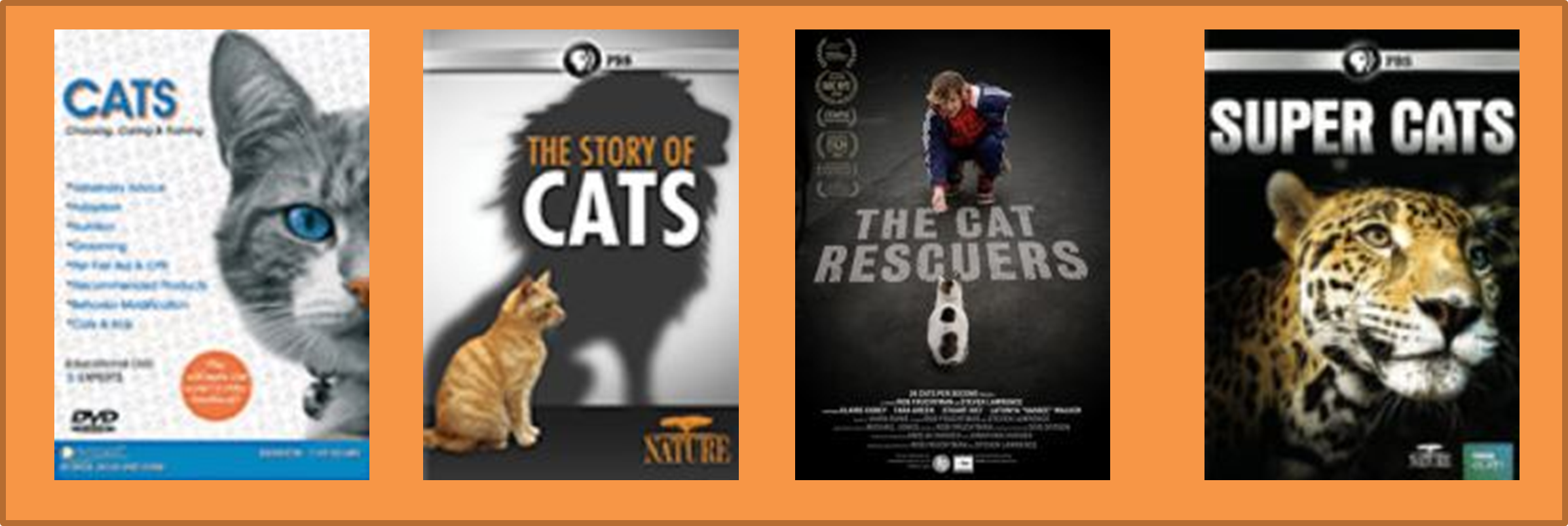 Cat DVD Covers