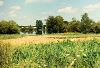 Library building site