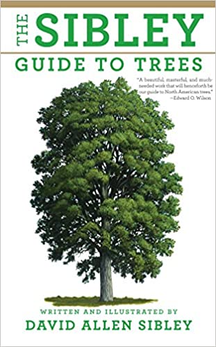 guide to trees