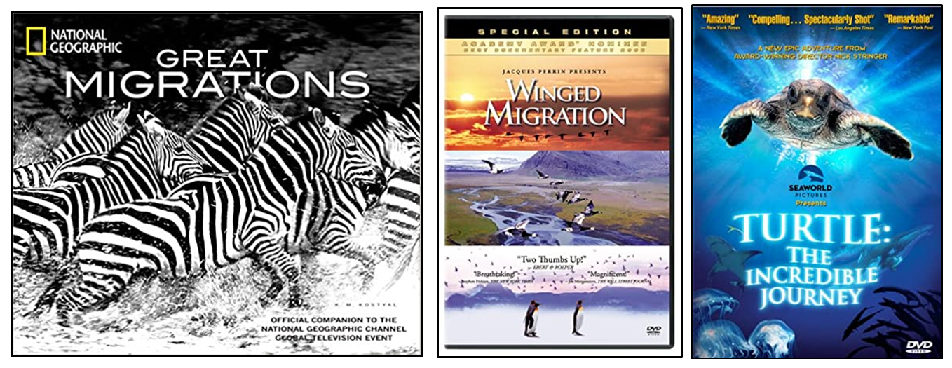 Migration dvds