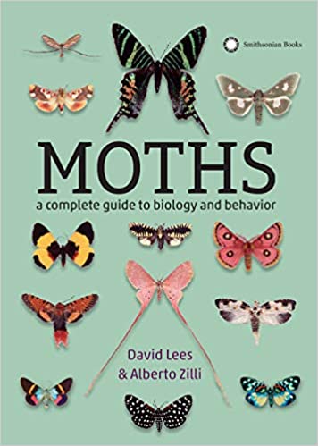 moths