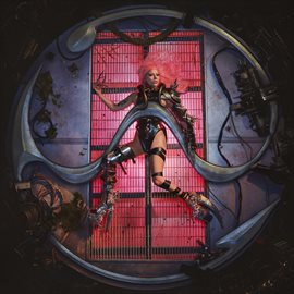 lady gaga cd cover