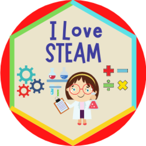 steam badge
