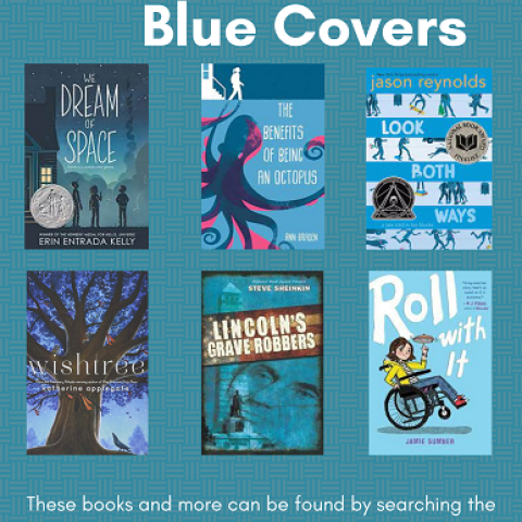 Middle Grade Book Talk Blue Covers