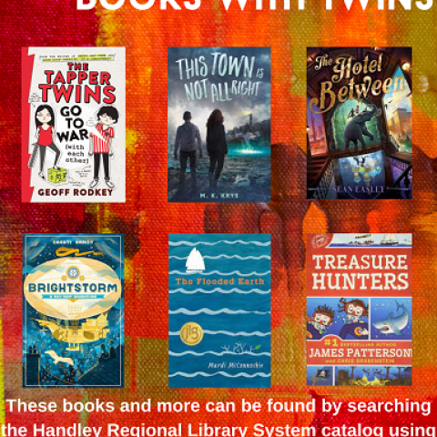 Middle Grade Twins Book Covers