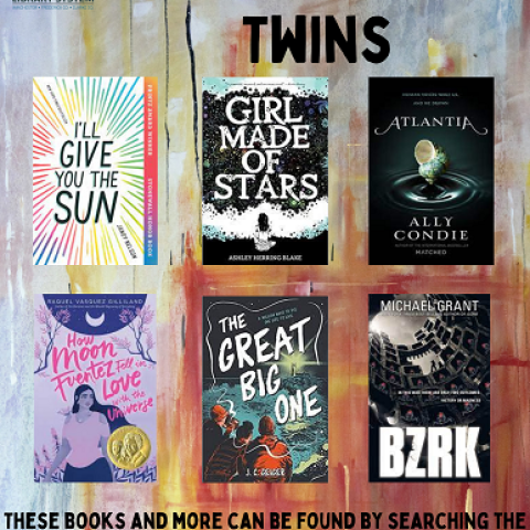 Teens Twins Book Covers