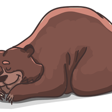 bear sleeping