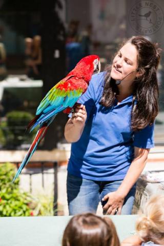 Lady Holding a Parrot