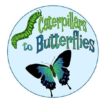 Caterpillars badge