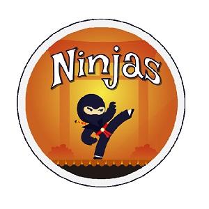 Ninja Badge