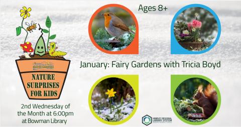 January Nature Surprises