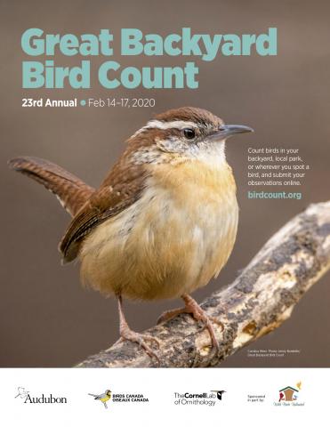 Great Backyard Bird Count | Handley Regional Library System