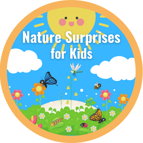 Nature Surprises for Kids