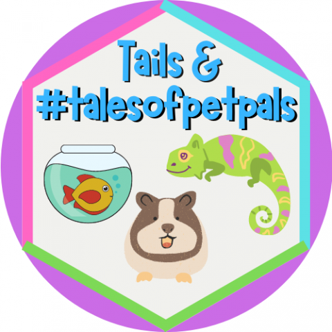 Pet Pals Badge