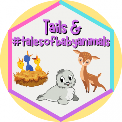 Baby Animals Badge
