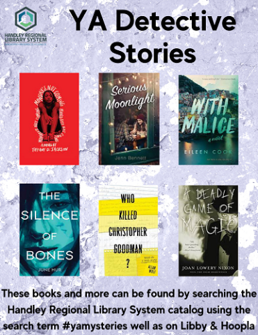 Teen Detective Stories Book Covers