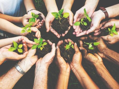 circle of hands holding seedlings and dirt