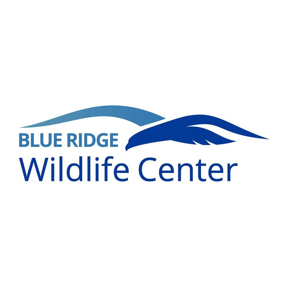 Wildlife Logo