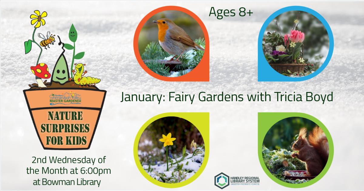 January Nature Surprises