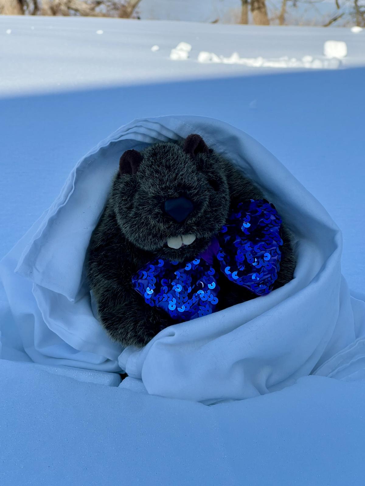 Bowman Bill is snowed in