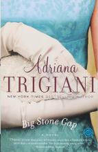 Big Stone Gap cover image